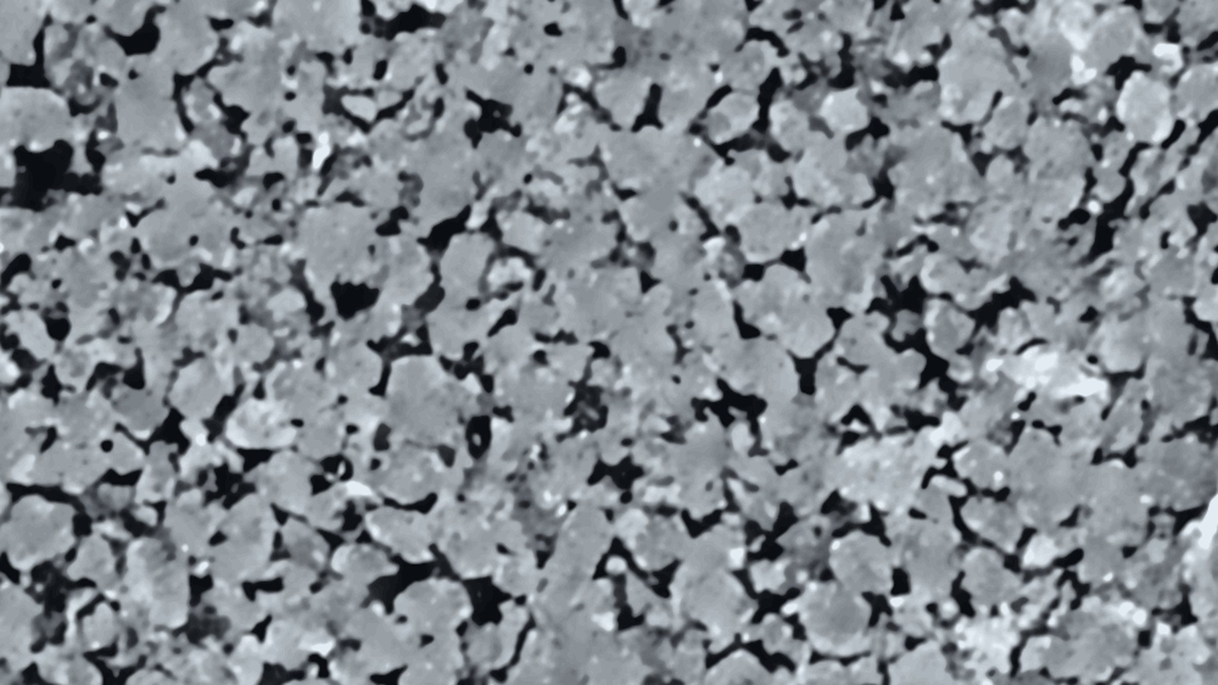 Denoised micro-CT slice of Kirby sandstone