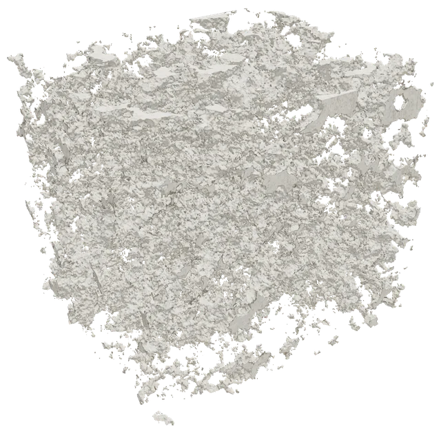 Carbonate pore network cast as a solid