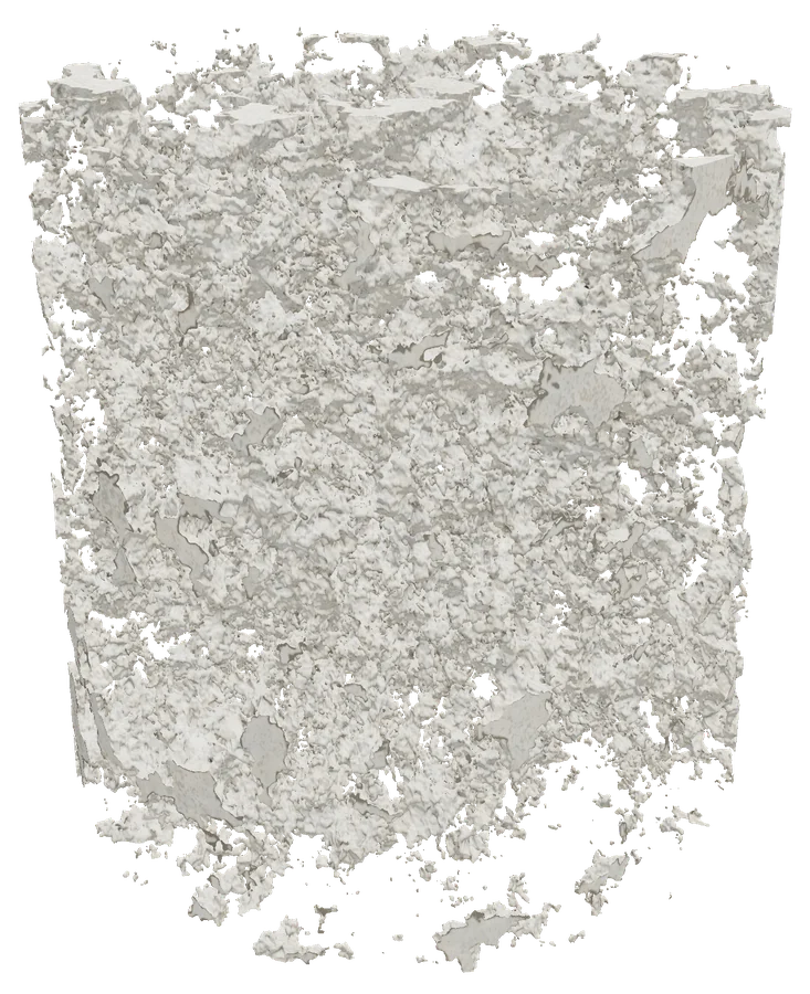 Pre-salt carbonate core plug, pore network cast as a solid